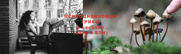 винт Балабаново