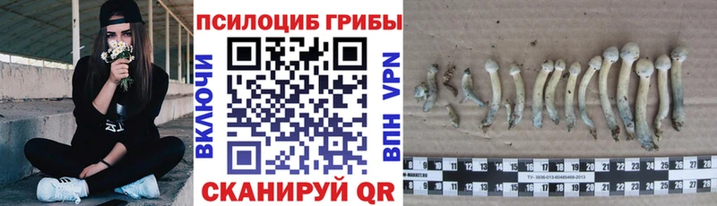 Галлюциногенные грибы GOLDEN TEACHER Гаджиево
